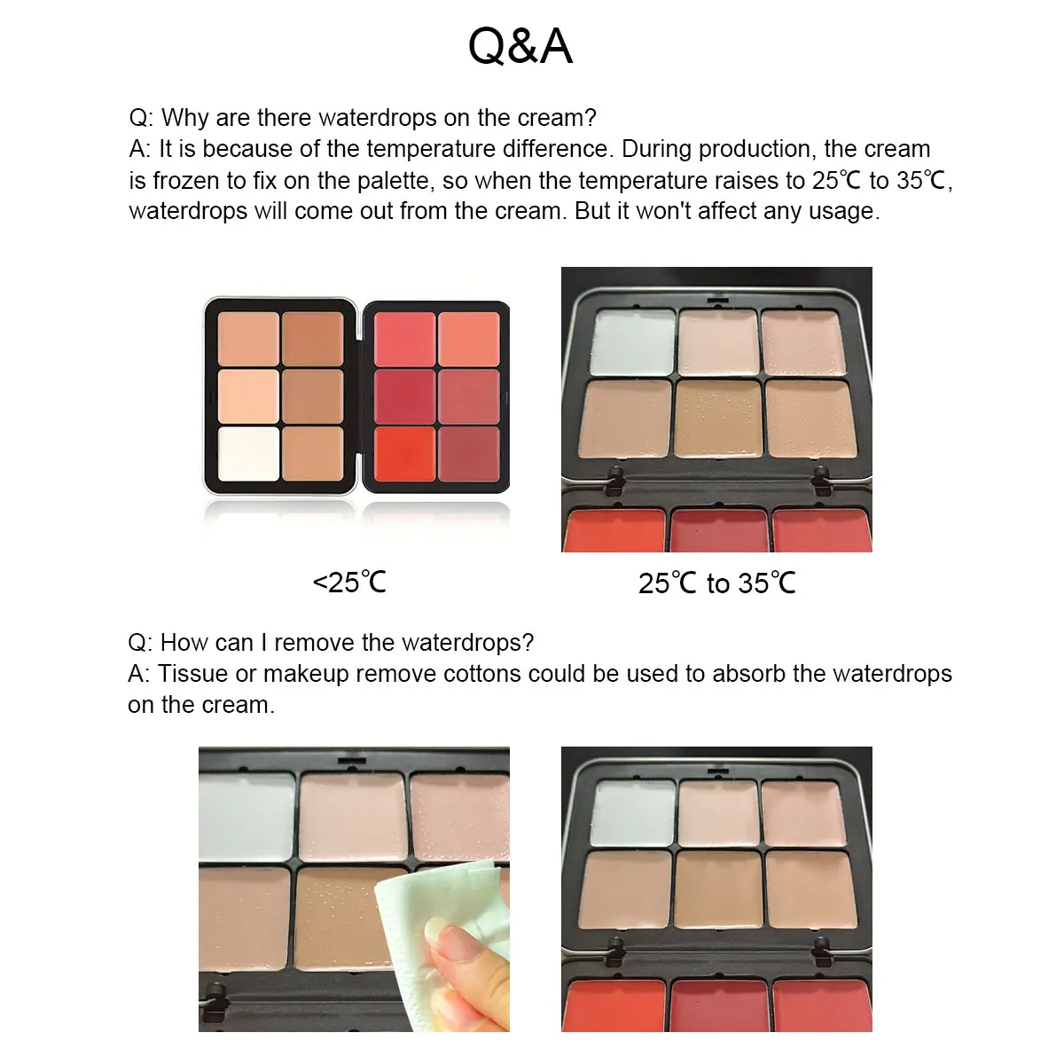 12 Color concealer Palette Matte Phosphor Outline Makeup Palette Cream foundation make-up Makeup Face Repair - الصورة 6
